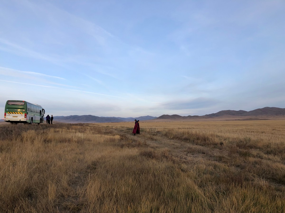 Transport à sensations&nbsp;fortes