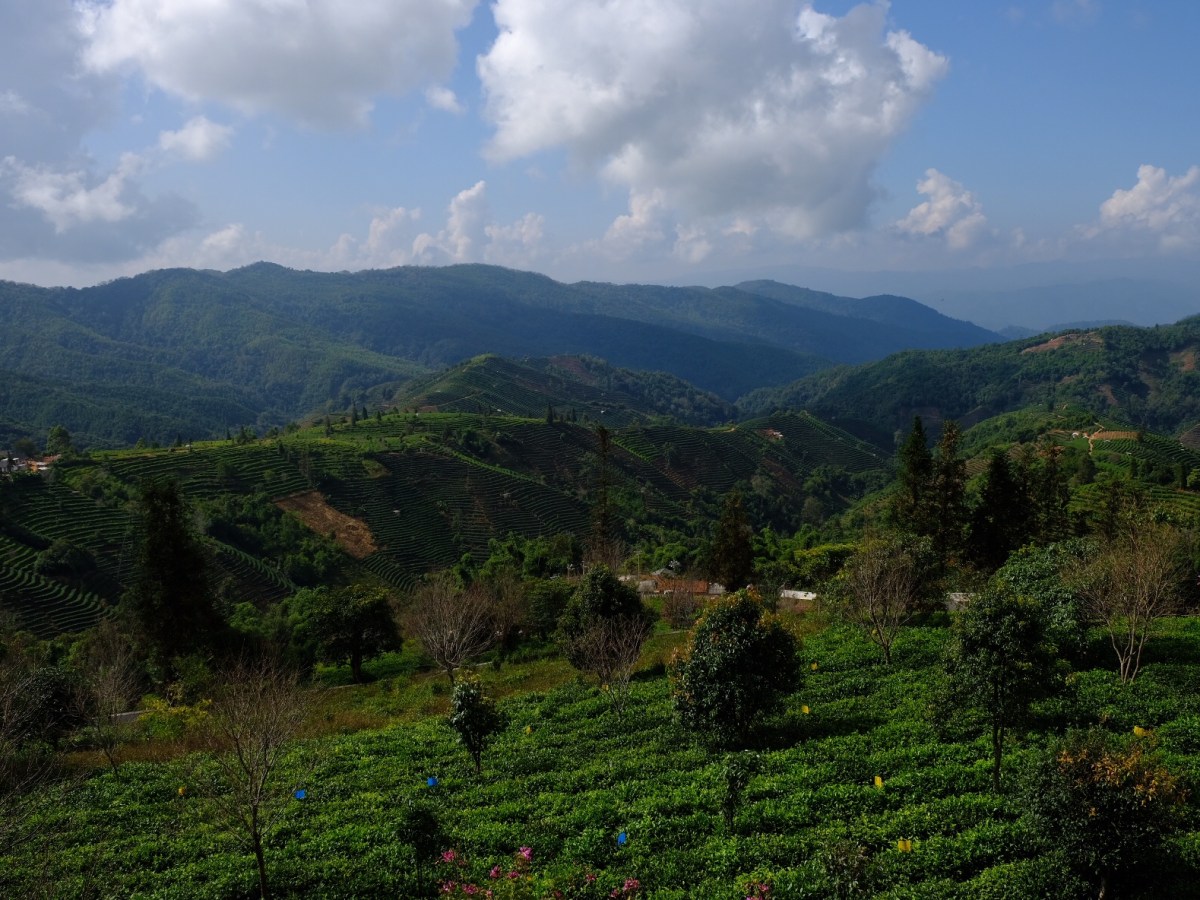 Chine (3) – Les hauteurs du&nbsp;Yunnan